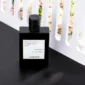 Premium Unisex Black Glass Fragrance Bottle 100ml – Lonkoom Mystery EDP