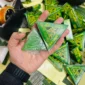 Seven Green Nature Herbal Triangular Green Packets in Hand
