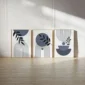 Minimalist abstract geometric wall art with arches, circles, and botanical leaves