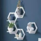 Modern white hexagon wall shelves with decorative vases, plant, fan, and sculpture